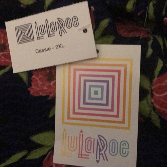 Lularoe Cassie Skirt - Picture 5 of 8